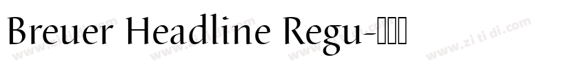 Breuer Headline Regu字体转换